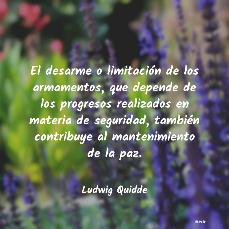 Frases de Ludwig Quidde