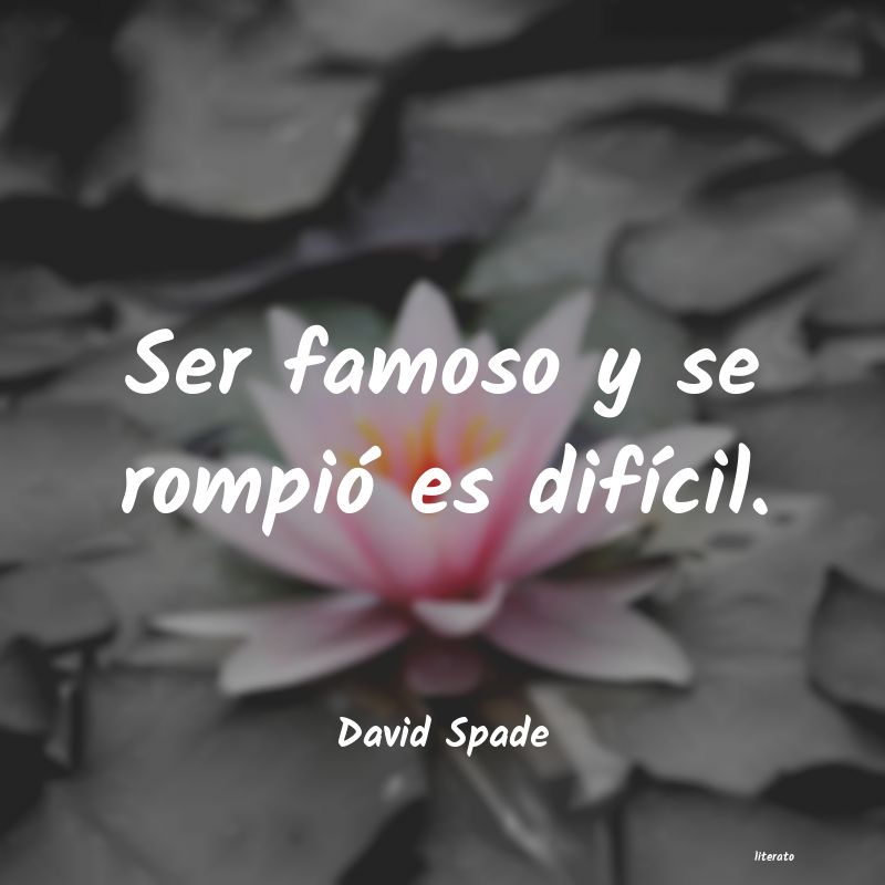 Frases de David Spade