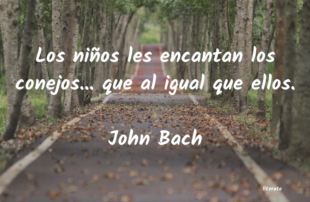 Frases de John Bach