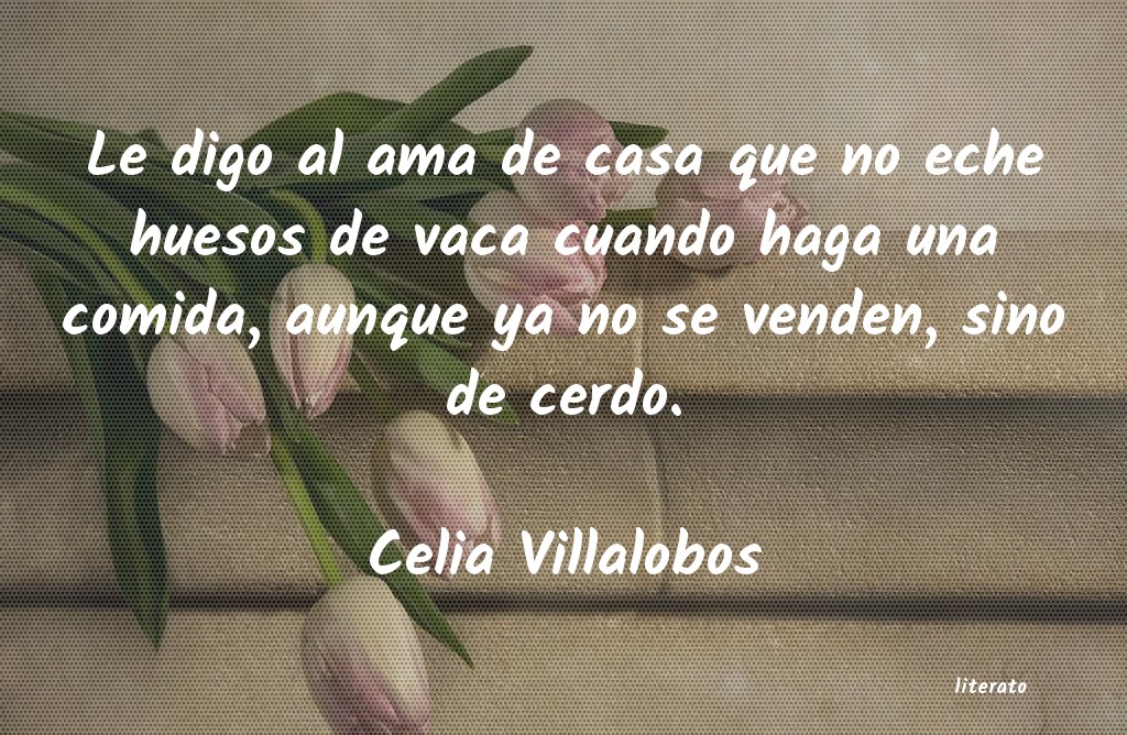 Frases de Celia Villalobos