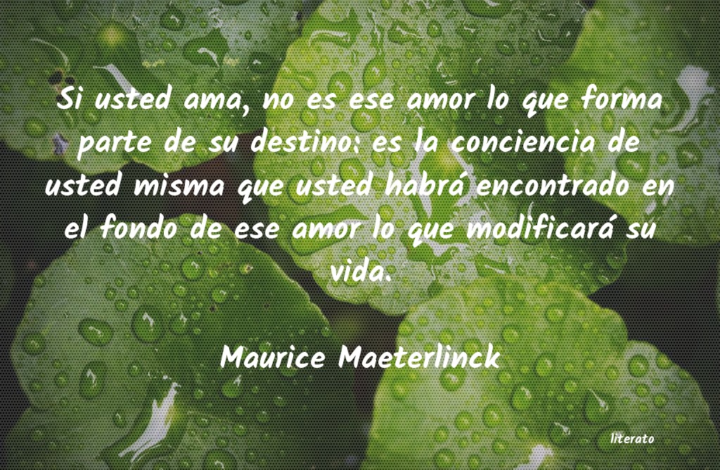 Frases de Maurice Maeterlinck