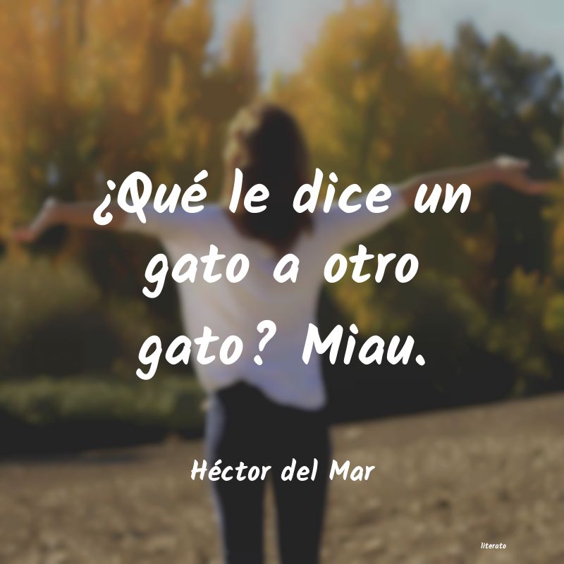 Frases de Héctor del Mar