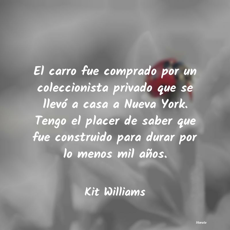 frases de Kit Williams
