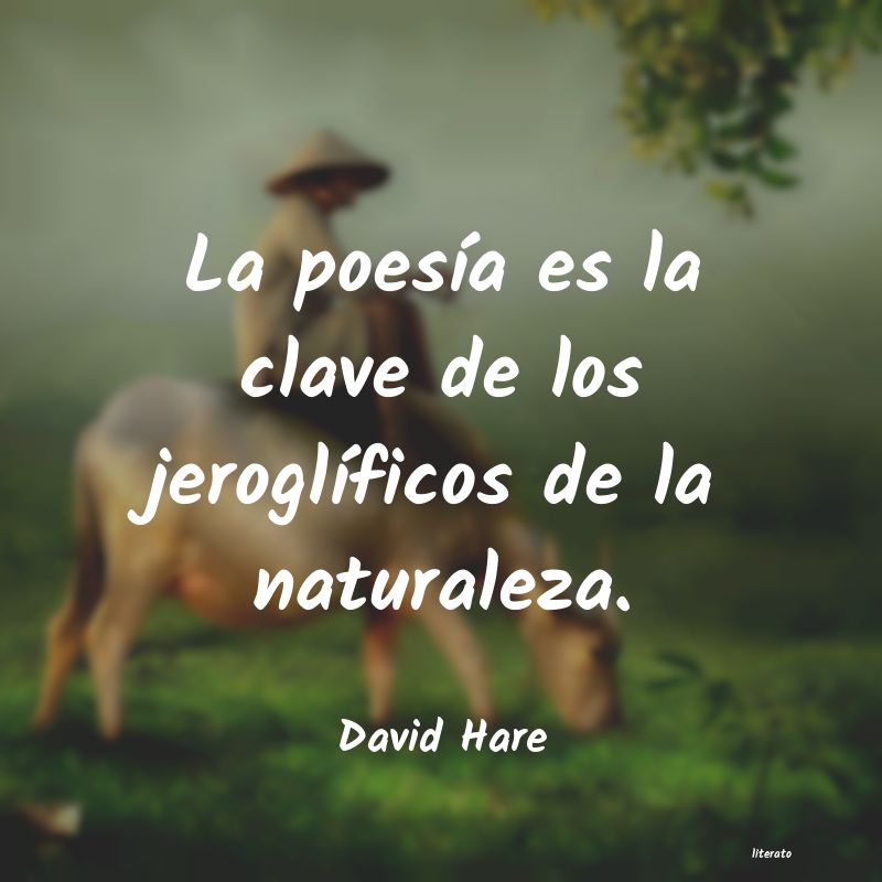 Frases de David Hare