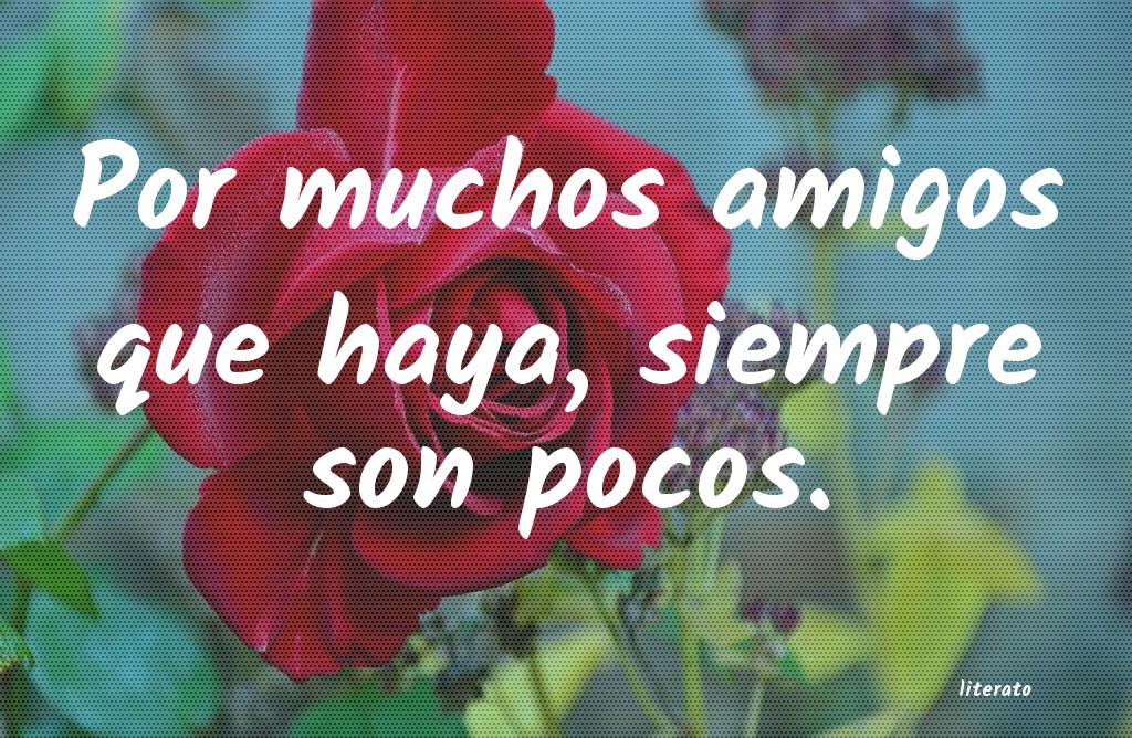frases