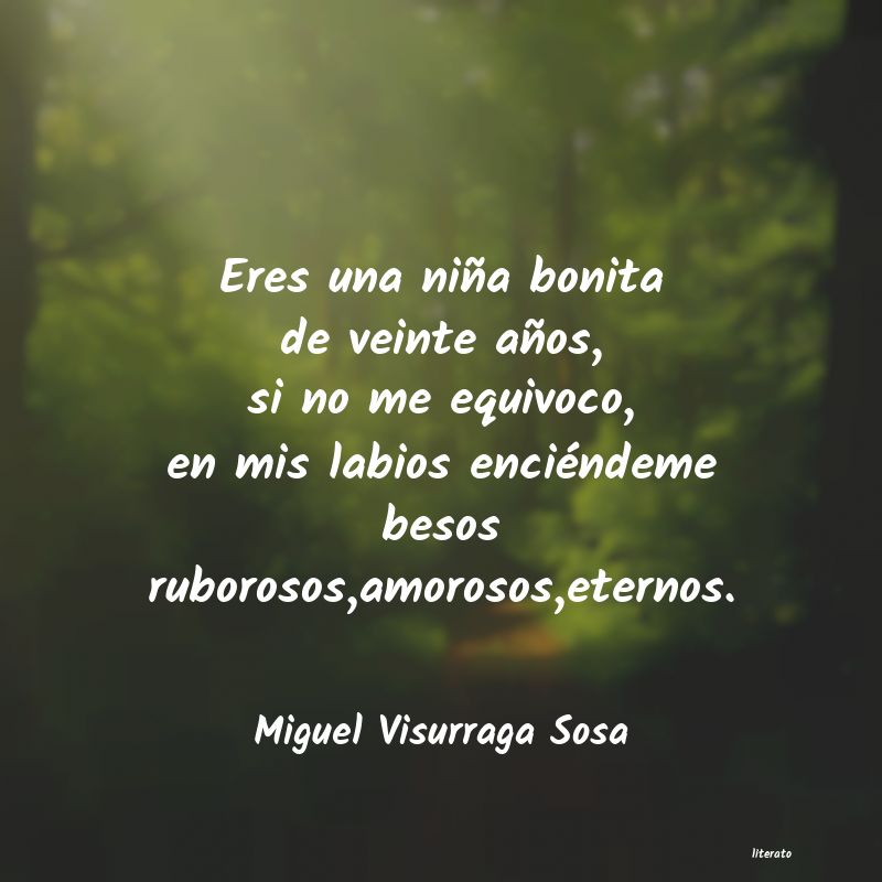 frases de Miguel Visurraga Sosa
