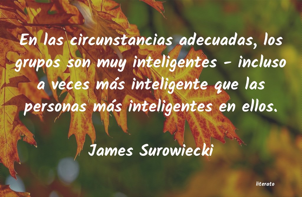 Frases de James Surowiecki