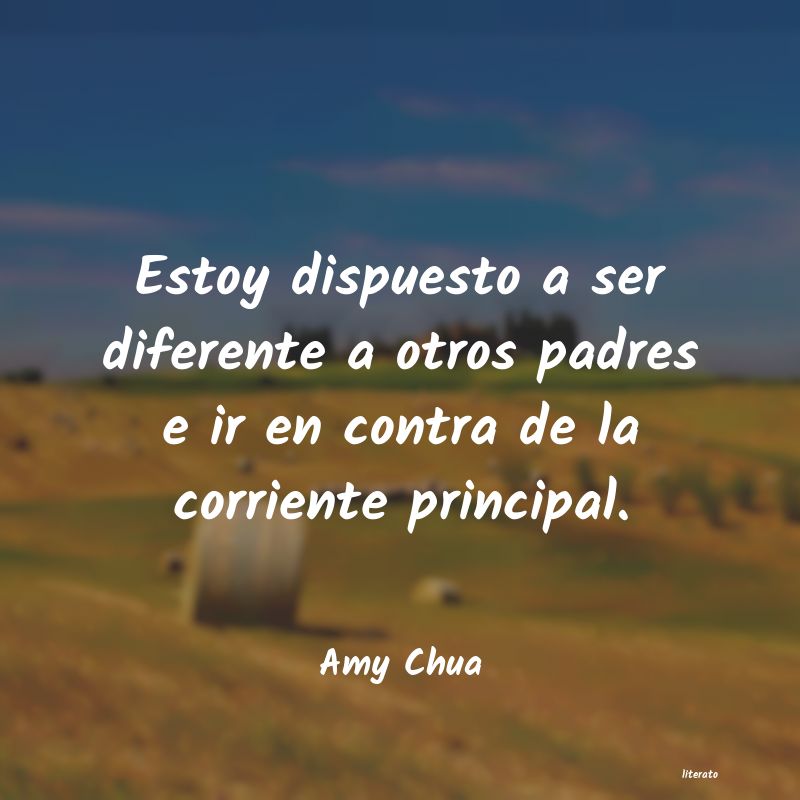 Frases de Amy Chua