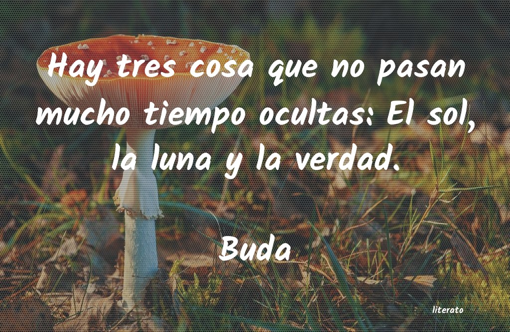 Frases de Buda