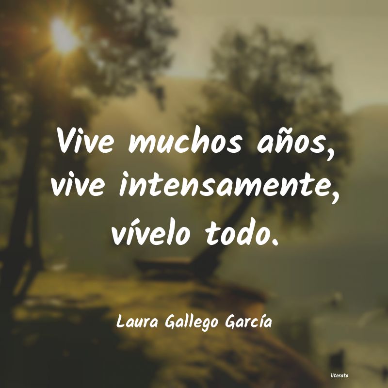 Frases de Laura Gallego García