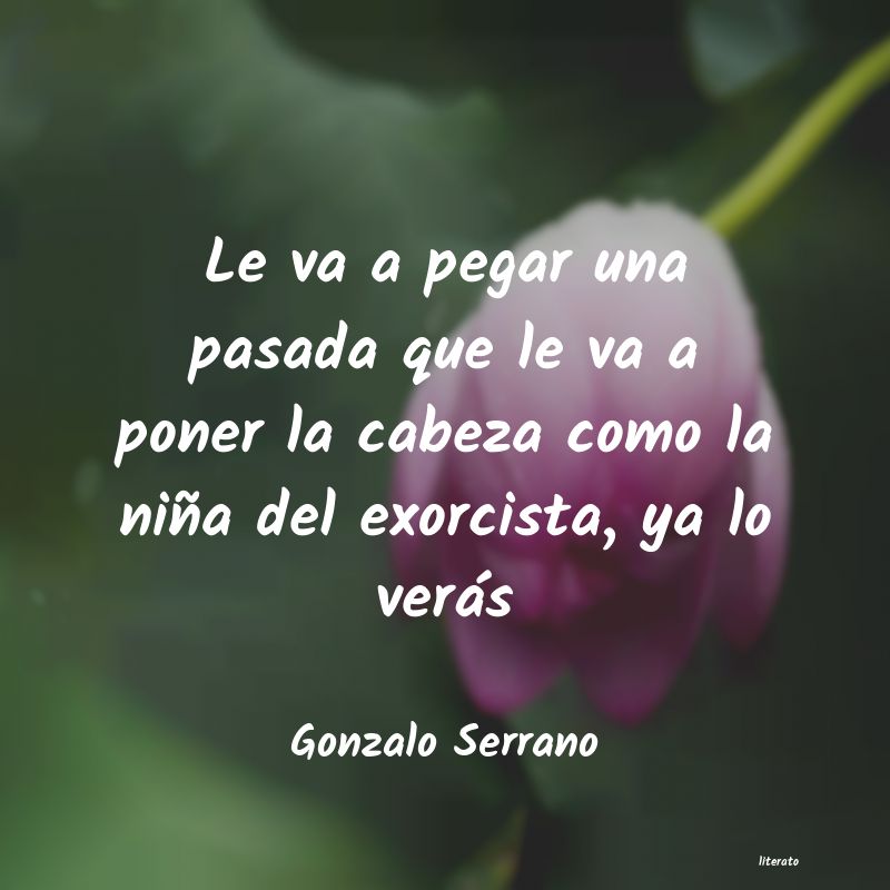 frases de Gonzalo Serrano