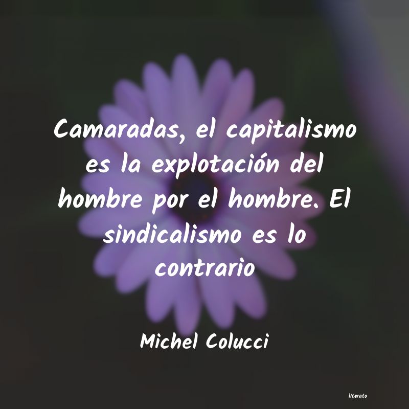 frases de Michel Colucci
