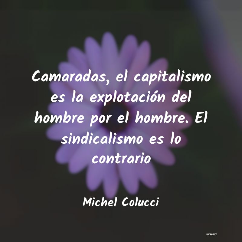 Frases de Michel Colucci