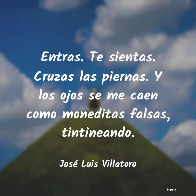 Frases de José Luis Villatoro