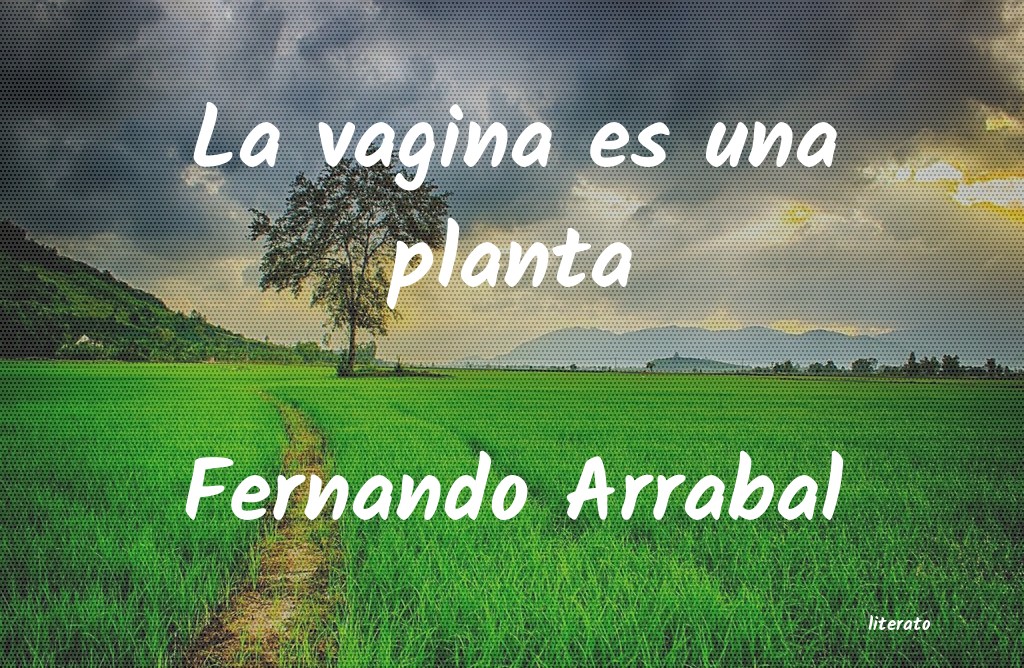 Frases de Fernando Arrabal