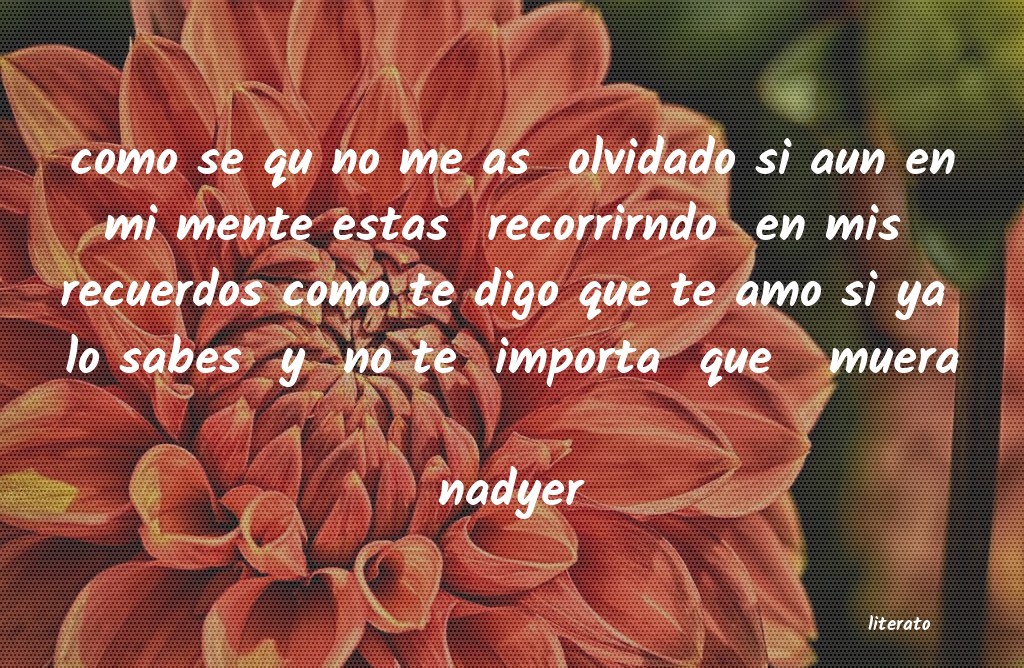 no sabes como necesito tu voz