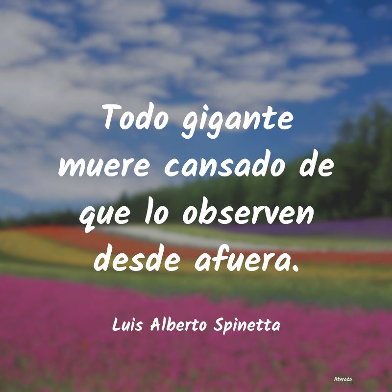 Frases de Luis Alberto Spinetta