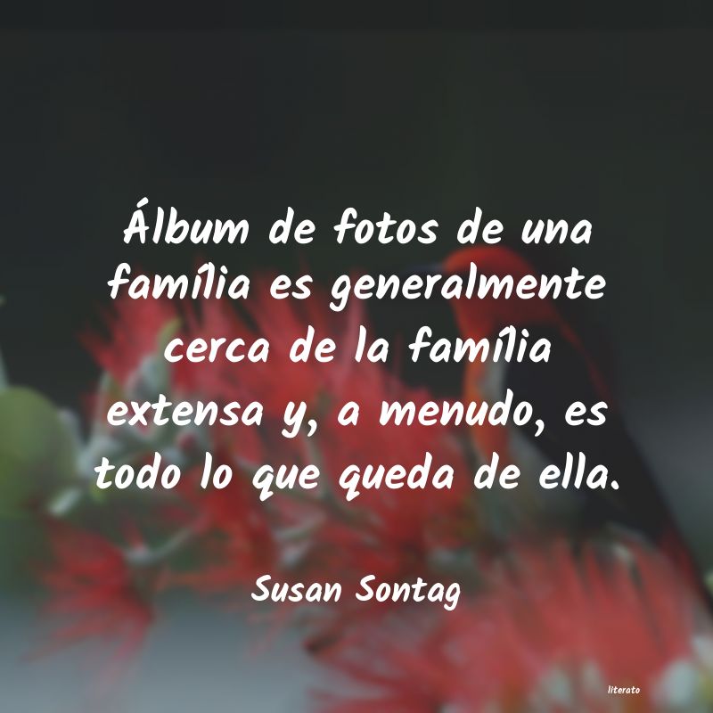 Frases de Susan Sontag