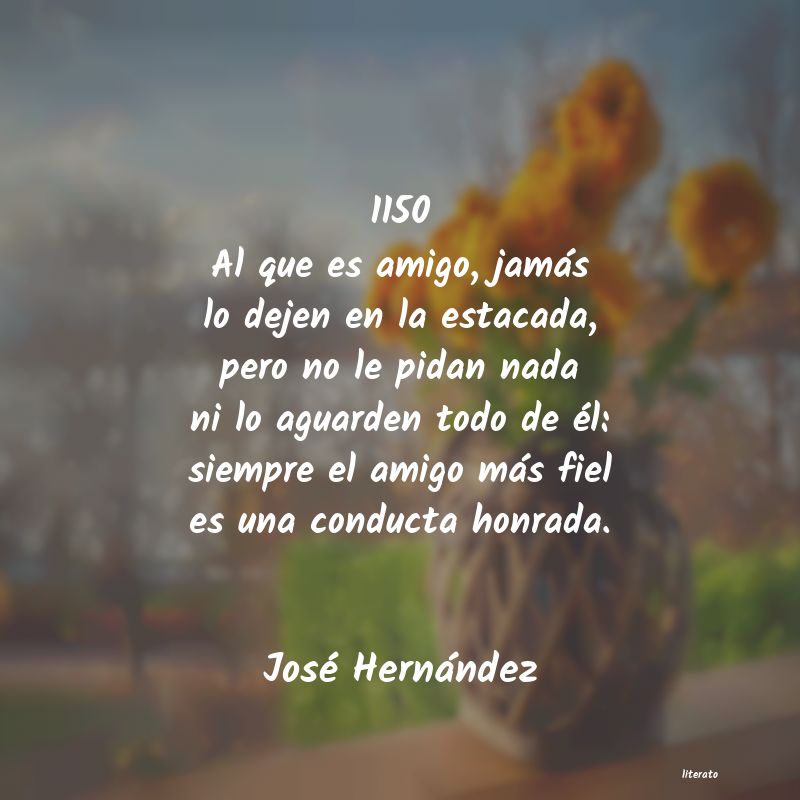Frases de José Hernández