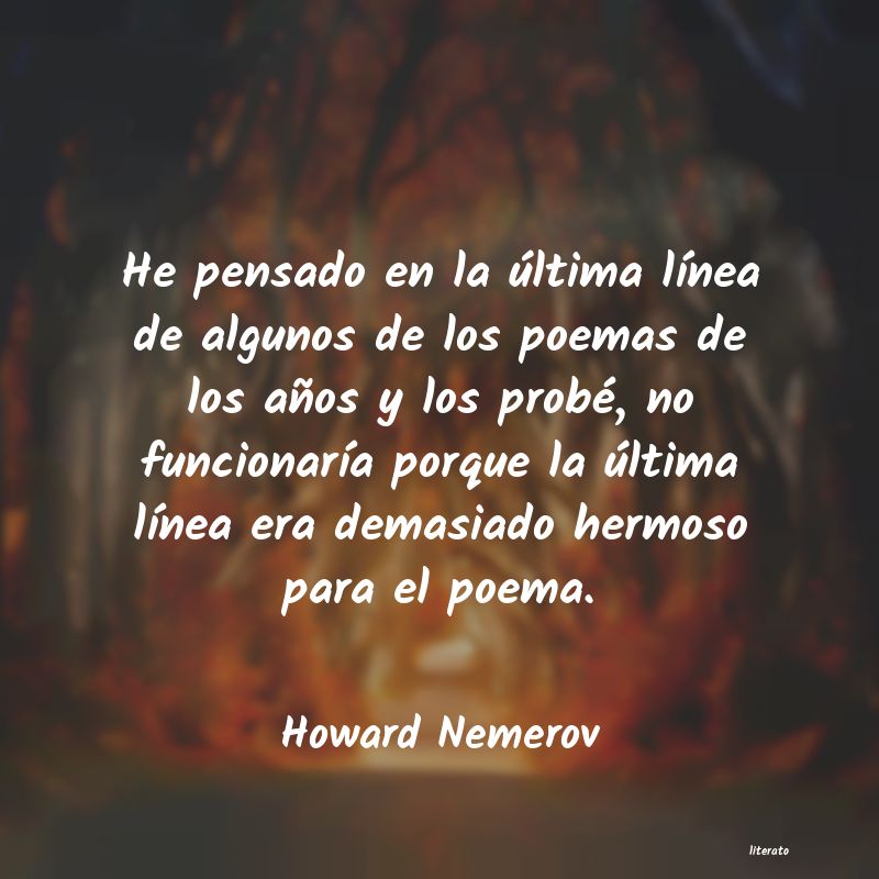 frases de Howard Nemerov