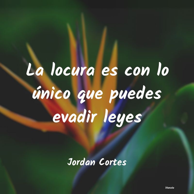 Frases de Jordan Cortes