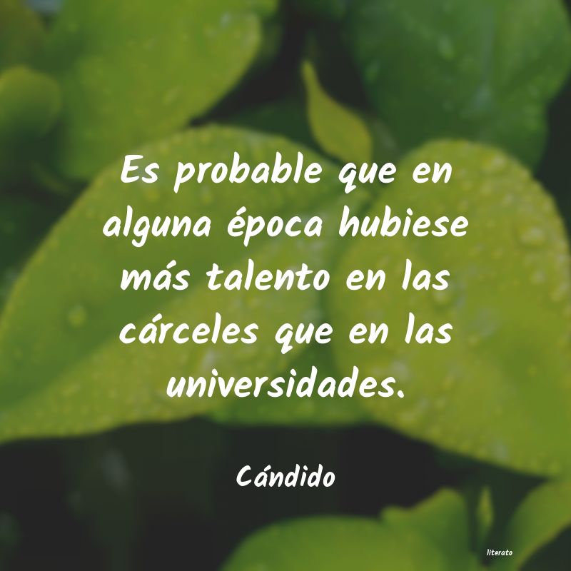 frases de Cándido