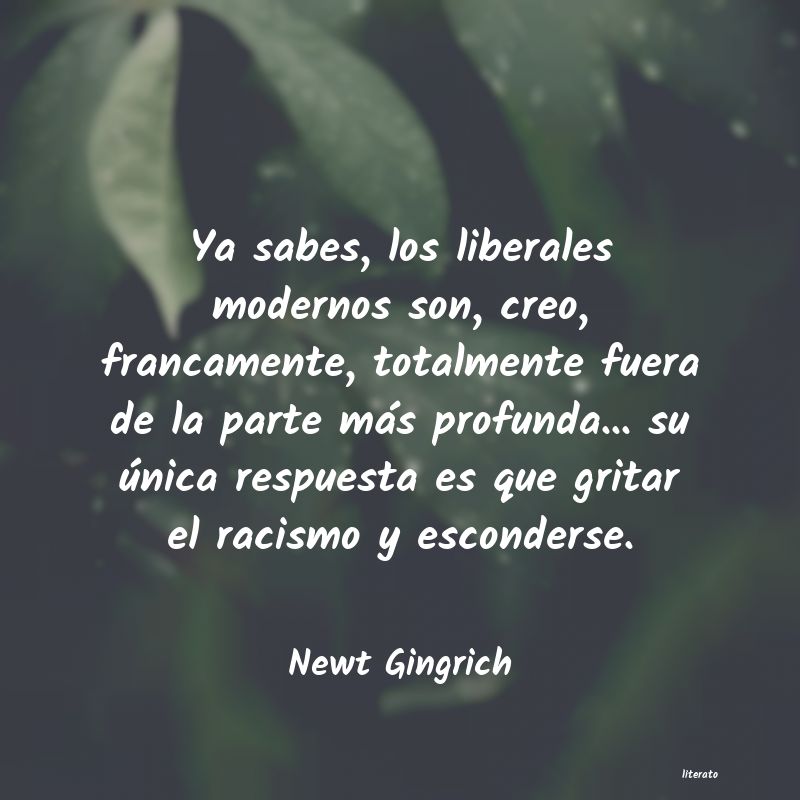 frases de Newt Gingrich