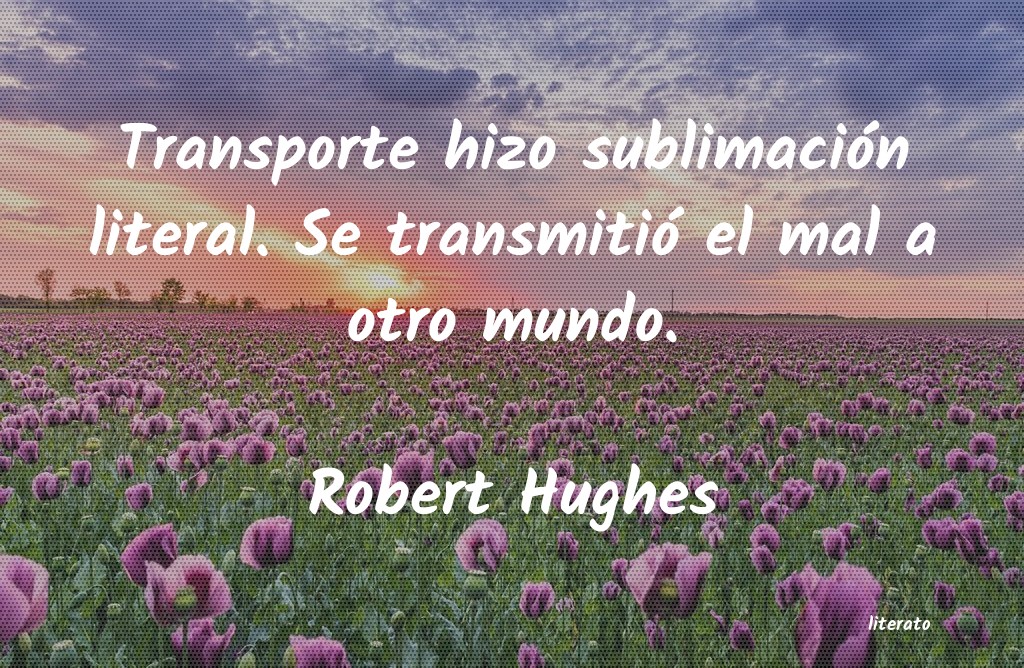 Frases de Robert Hughes