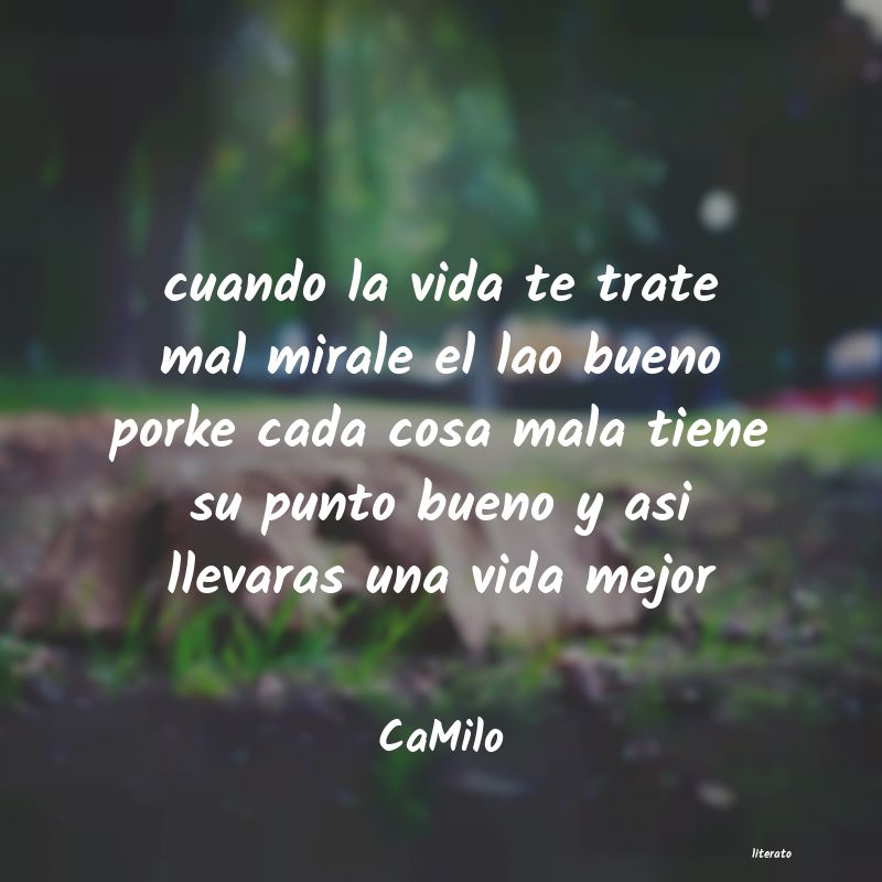 Frases de CaMilo