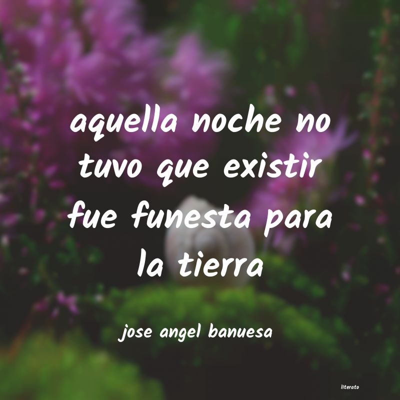 Frases de jose angel banuesa