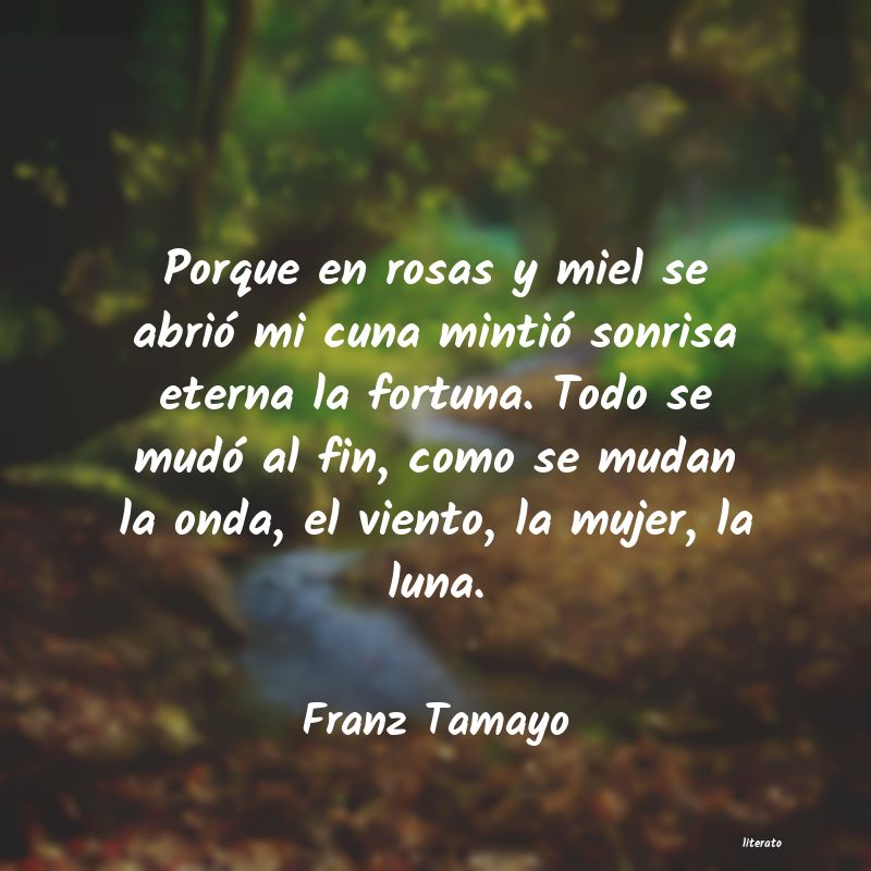 Frases de Franz Tamayo