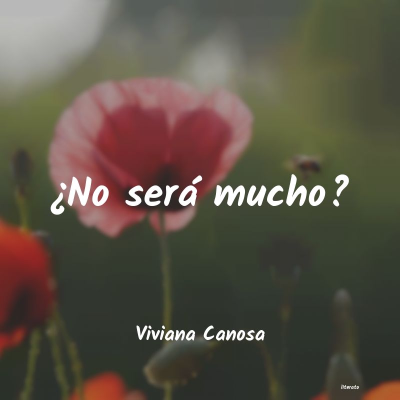frases de Viviana Canosa