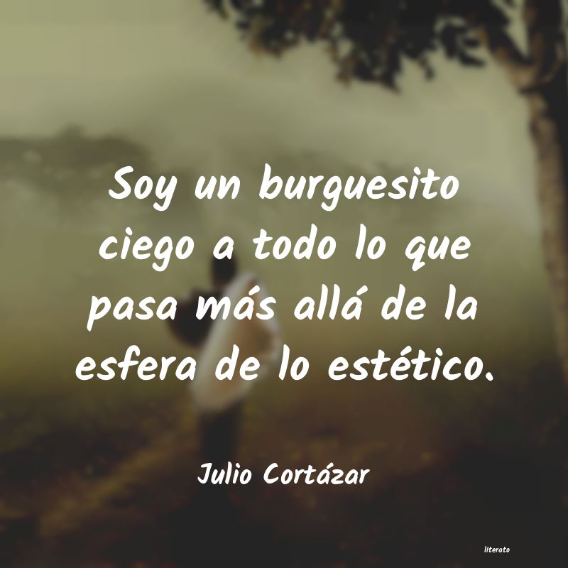 Frases de Julio Cortázar