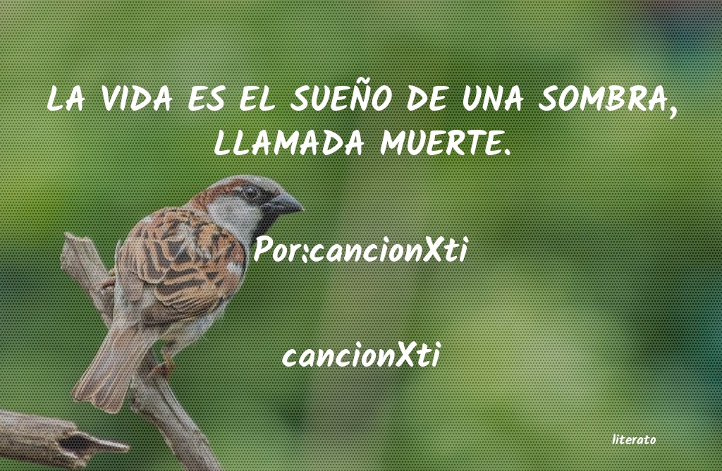 Frases de cancionXti