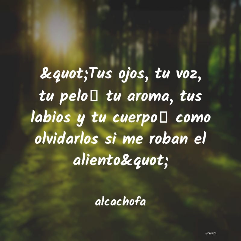 frases de alcachofa