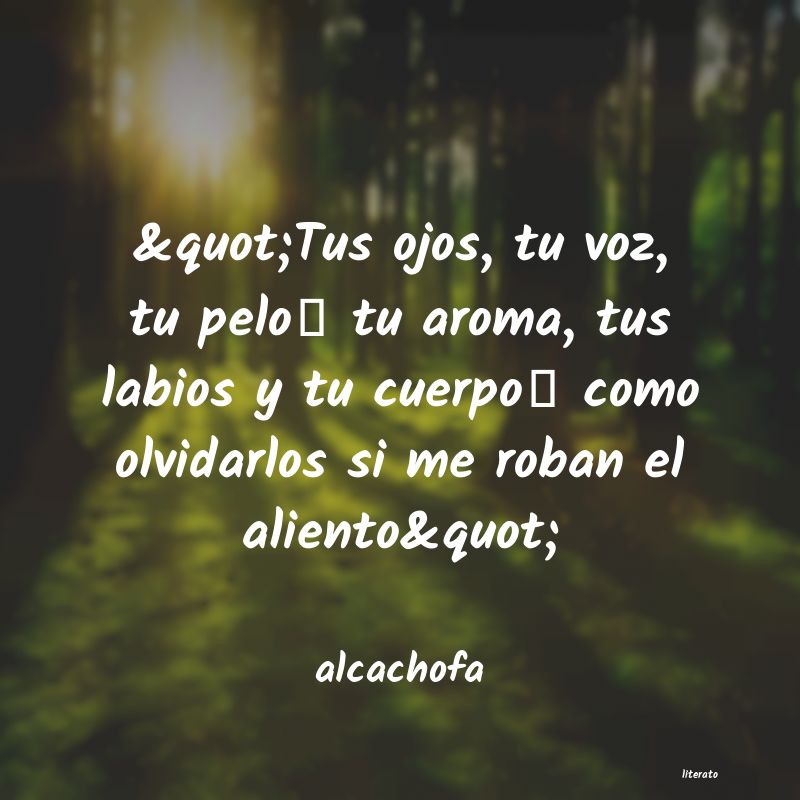 Frases de alcachofa