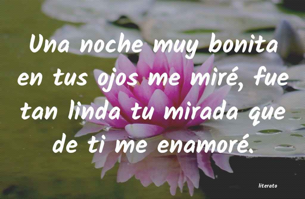 frases