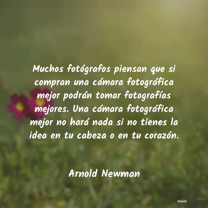 frases de Arnold Newman