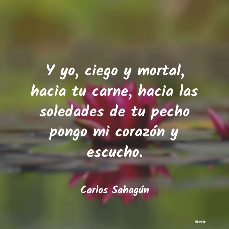 Frases de Carlos Sahagún