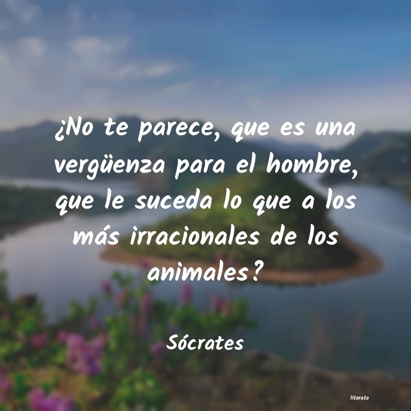 Frases de Sócrates