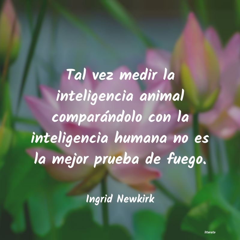 Frases de Ingrid Newkirk