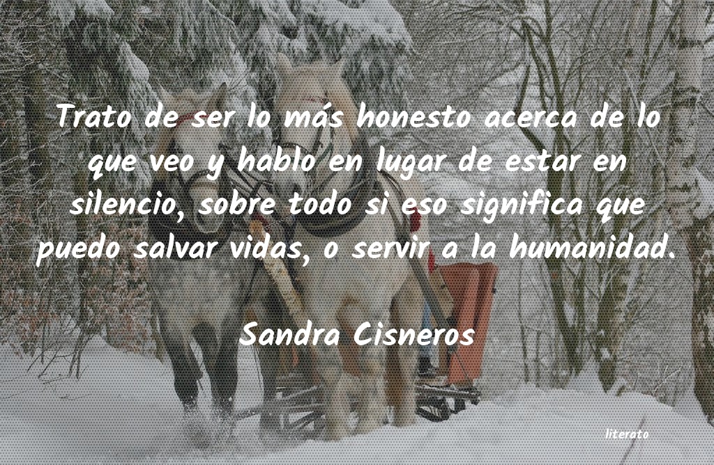 Frases de Sandra Cisneros