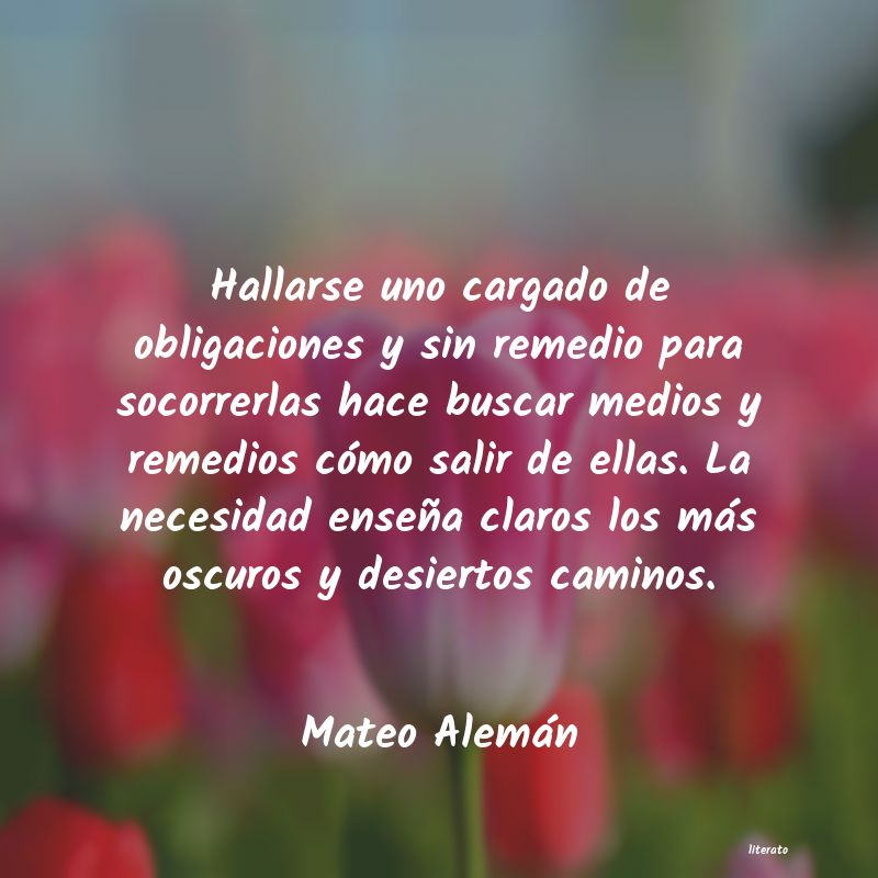 Frases de Mateo Alemán