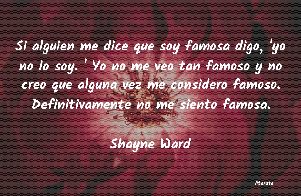 Frases de Shayne Ward