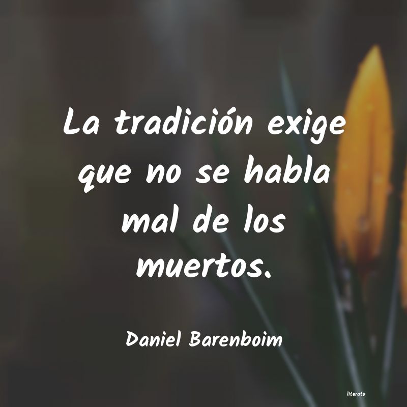 Frases de Daniel Barenboim