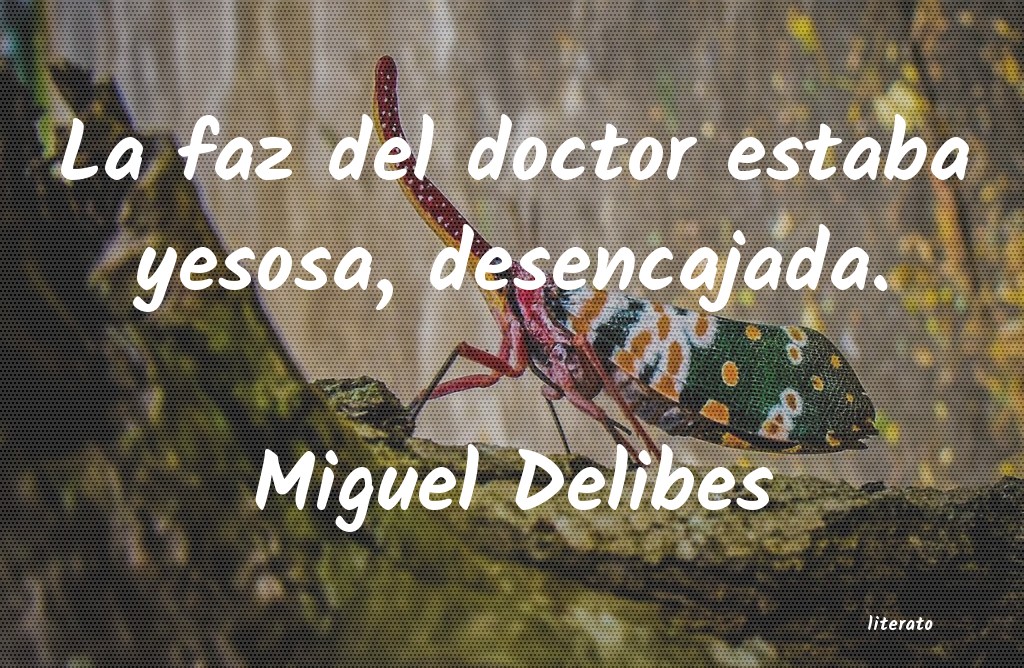 frases de Miguel Delibes