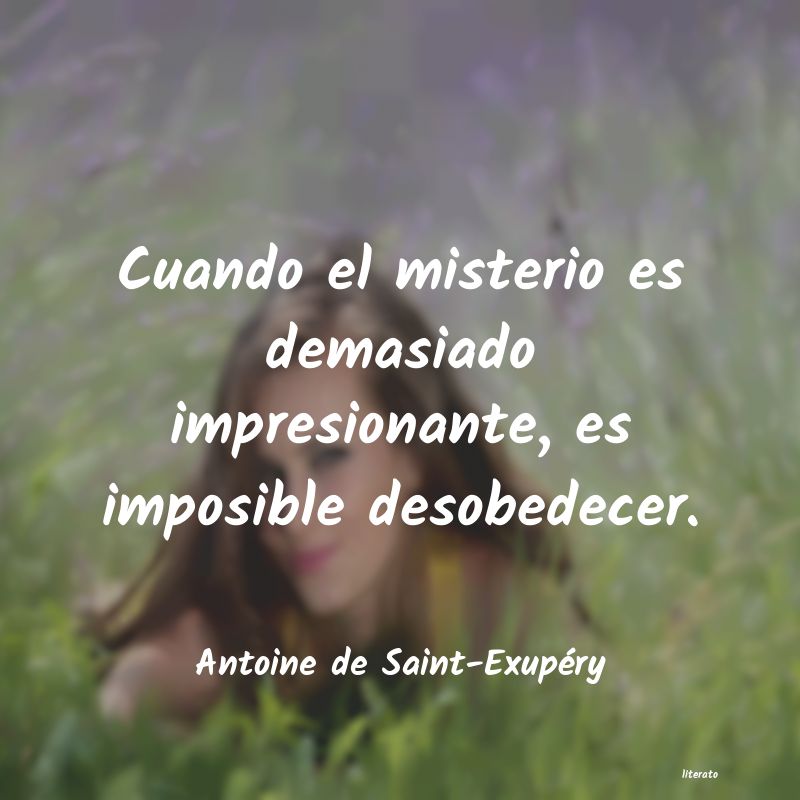 Frases de Antoine de Saint-Exupéry