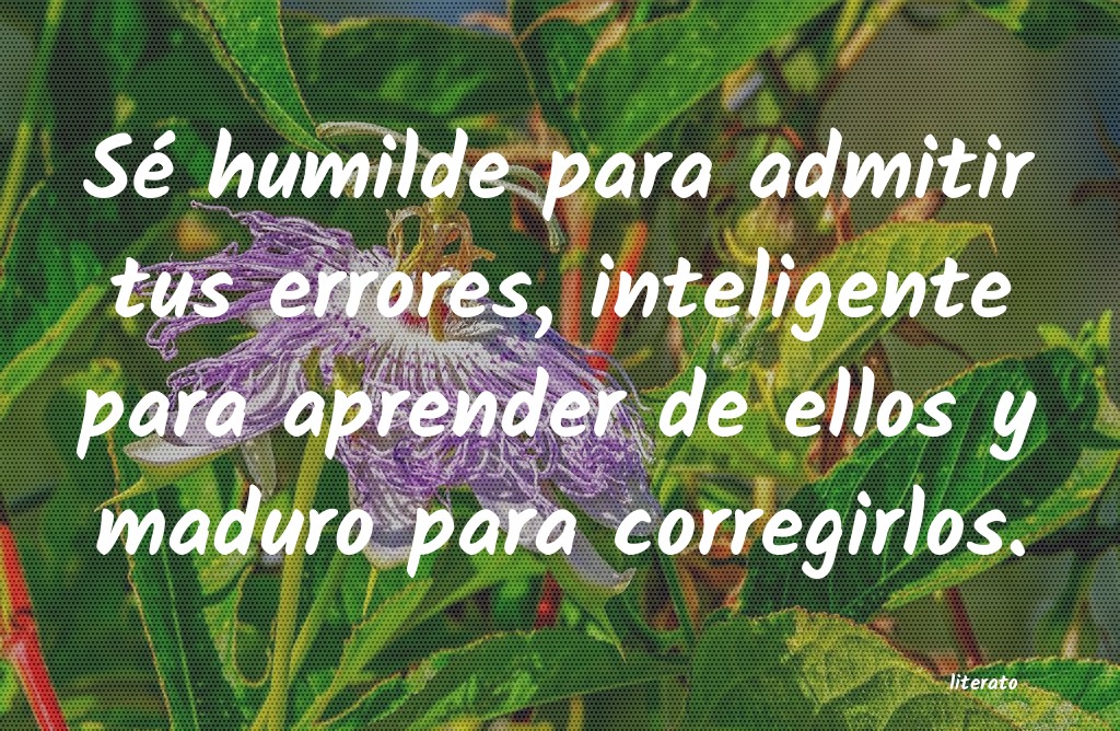 Frases de