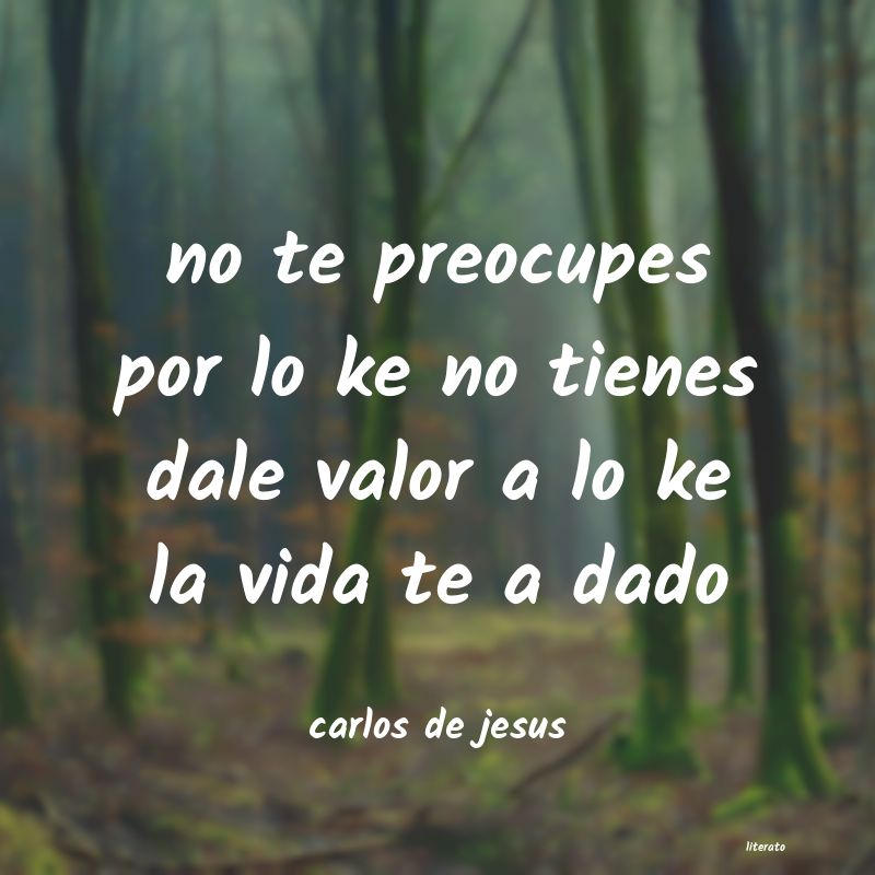 Frases de carlos de jesus