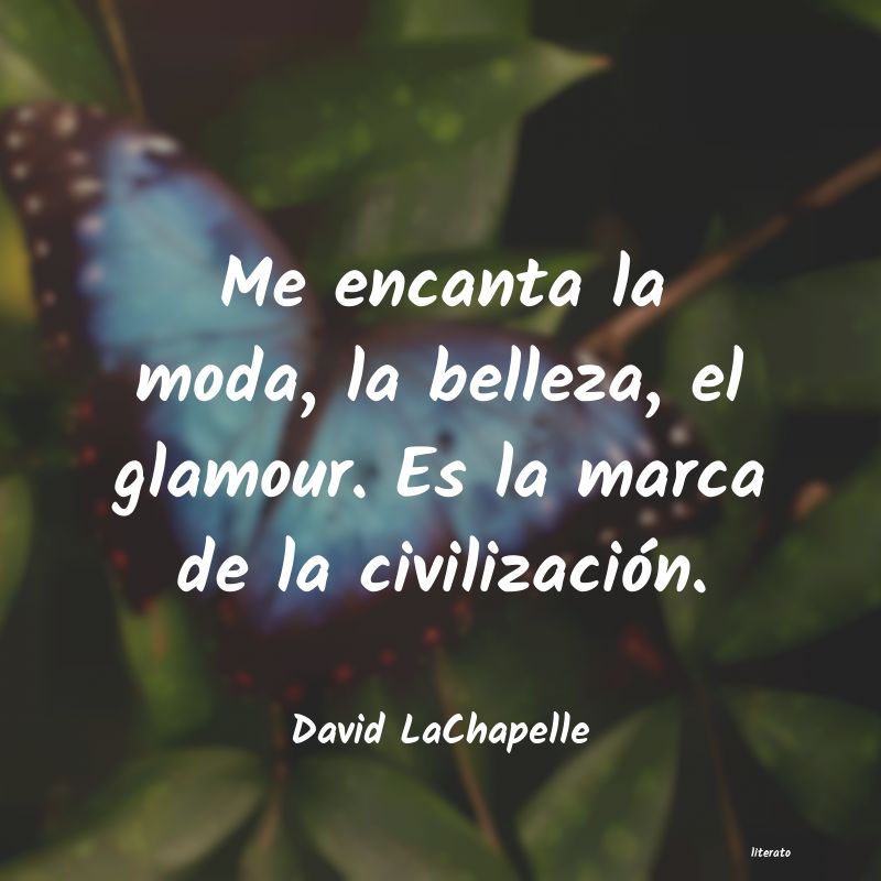 Frases de David LaChapelle